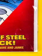 Superman: The Man of Steel #22