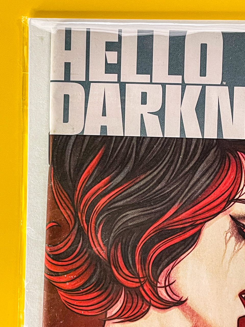Hello Darkness #16 | Jenny Frison Cover
