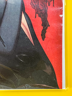 Hello Darkness #16 | Jenny Frison Cover