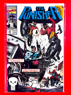 Main Cover of The Punisher #43 | Bill Reinhold Cover