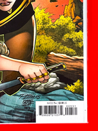 Bottom right corner of Doom Academy #5 | Ron Lim Cover