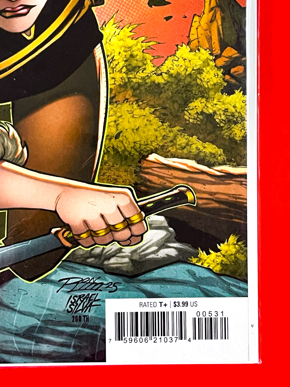 Bottom right corner of Doom Academy #5 | Ron Lim Cover