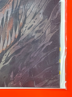Venom #250 | Peach Momoko Cover