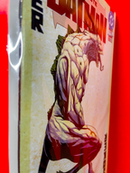 Spine of Absolute Batman #15 | Nick Dragotta & Frank Martin Cover