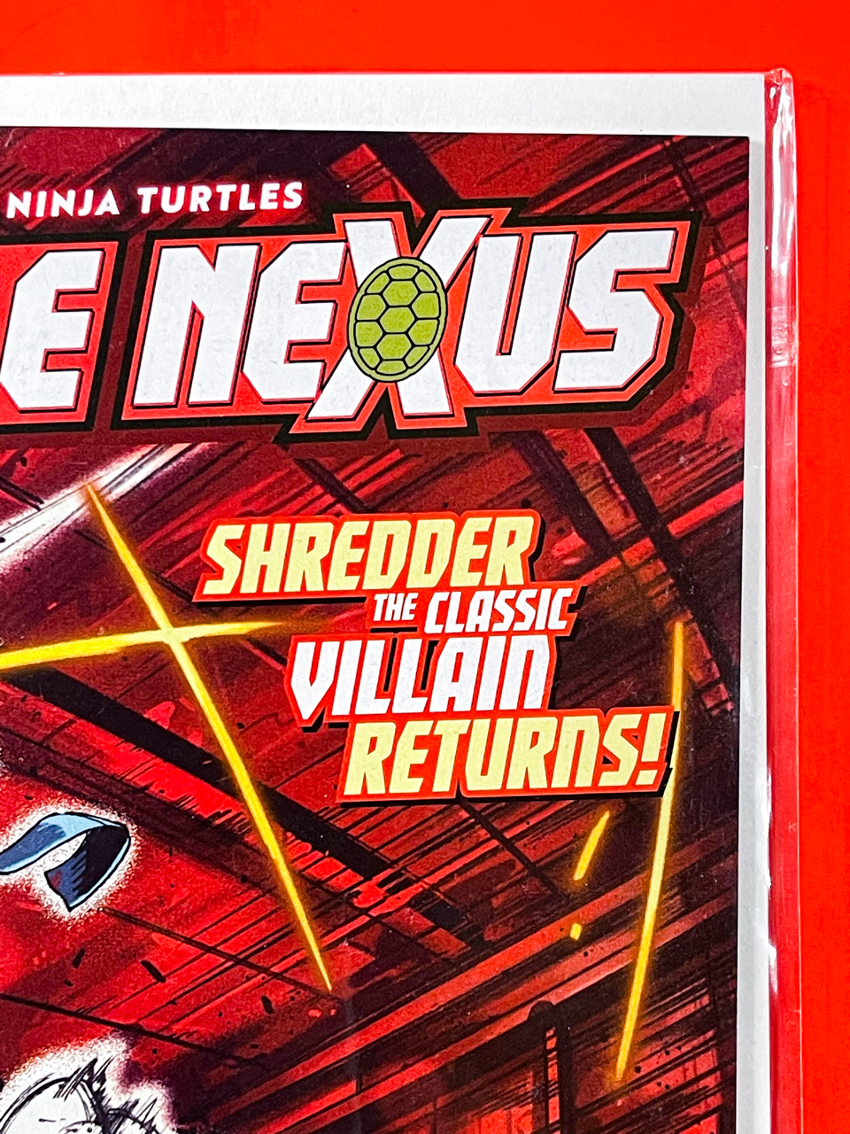 Teenage Mutant Ninja Turtles: Battle Nexus #2 | Richardo Lopez Cover B 1st Print