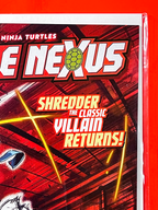Teenage Mutant Ninja Turtles: Battle Nexus #2 | Richardo Lopez Cover B 1st Print