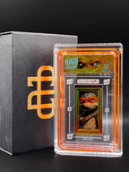 Zetaw - 1 of 1 - TMNT Renaissance - High Rollaz' - Full Set only - Hobby Hustlin