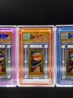 Zetaw - 1 of 1 - TMNT Renaissance - High Rollaz' - Full Set only - Hobby Hustlin