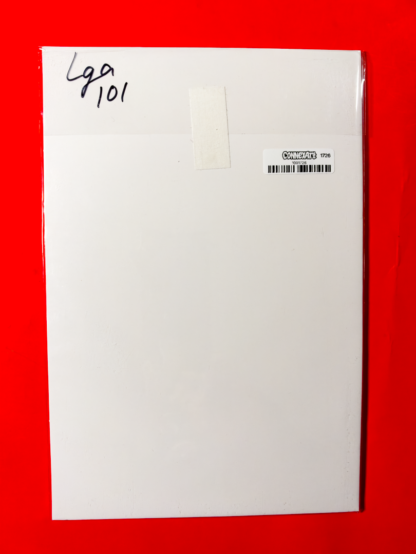 Absolute Flash #12 | Leirix Cover D